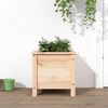 vidaXL Garden Planter Natural Wood Solid pine wood Medium
