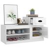 vidaXL Shoe Cabinet High gloss white Engineered Wood Medium Shoe Cabinet