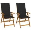 vidaXL Garden Chair Set of 2 Black, Brown