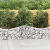 vidaXL Arched Gabion Baskets 50 pcs 78.7"x11.8"x23.6"/31.5" Galvanized Iron