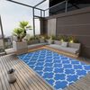 vidaXL Outdoor Rug Blue Polypropylene 74.8 in x 114.2 in Durable
