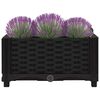 vidaXL Raised Bed Black Polypropylene Medium Decorative Inlays