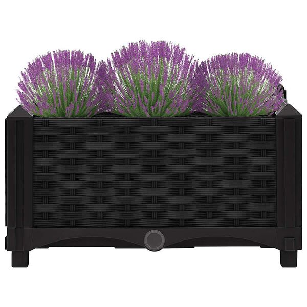 vidaXL Raised Bed Black Polypropylene Medium Decorative Inlays