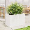 vidaXL Garden Planter White Solid Pine wood Medium Garden Planter