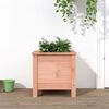 vidaXL Garden Planter Natural wood Solid Douglas wood Medium