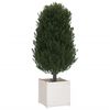 vidaXL Garden Planter White Solid Pinewood 19.7 in x 19.7 in x 19.7 in