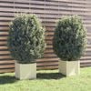 vidaXL Planter Set of 2 White Solid pinewood Large Durable Planter