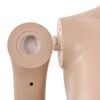 vidaXL Sexy Female Mannequin with Glass Base Beige 70.9"