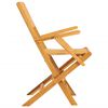 vidaXL Folding Garden Chair Set of 2 Teak Solid teak wood