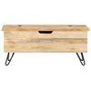vidaXL Chest Natural wood Solid mango wood, Steel Medium Chest