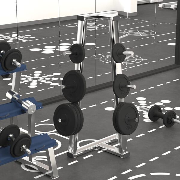 vidaXL Weight Plate 44.1 lb Cast Iron