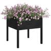 vidaXL Garden Planter Set of 2 Black Solid Pine wood Large Planters