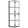 vidaXL Folding Shower Enclosure ESG 31.5"x55.1" Black
