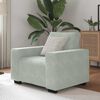 vidaXL Sofa Chair Light Gray Velvet, Plywood, Steel, Plastic Single