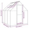vidaXL Greenhouse Green, Clear Aluminum, Polycarbonate