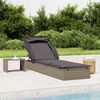 vidaXL Sunbed Grey PE Rattan, Powder-Coated Steel 83.1 x 25.6 in