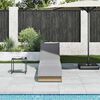 vidaXL Folding Sun Lounger with Cushion and Storage Beige Poly Rattan