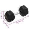 vidaXL Dumbbell 49.6 lb Cast Iron
