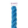 vidaXL Work Rope Blue 0.79 " 82.0 ' Polypropylene