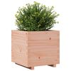 vidaXL Garden Planter Natural Wood Solid Douglas Fir Wood