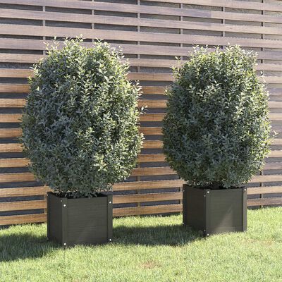 vidaXL Garden Planters 2 pcs Gray 15.7"x15.7"x15.7" Solid Wood Pine