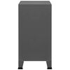 vidaXL Storage Chest Anthracite Steel, plastic Medium Storage