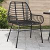 vidaXL Garden Chair Black PE rattan, powder-coated steel Medium