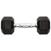 vidaXL Dumbbells 2 pcs 22.0 lb Total Cast Iron