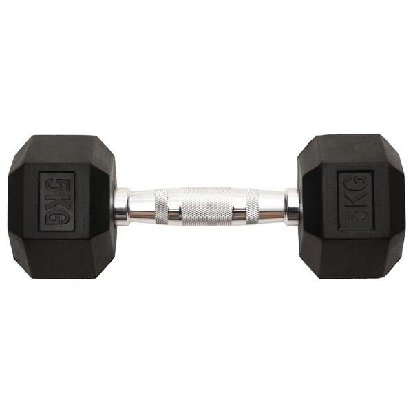 vidaXL Dumbbells 2 pcs 22.0 lb Total Cast Iron