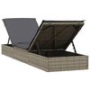 vidaXL Patio Sunbed Set of 2 Gray PE rattan Standard