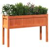 vidaXL Garden Planter Wax Brown Solid Pine Wood Medium