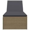 vidaXL Sunlounger Brown and Dark Grey PE rattan Standard Foldable