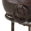 vidaXL Rustic Fire Pit &Oslash; 15.7" Iron