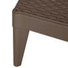 vidaXL Sun Lounger Brown Polypropylene Standard UV-resistant materials