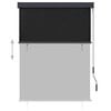 vidaXL Outdoor Roller Blind 47.2"x98.4" Anthracite