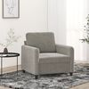 vidaXL Sofa Chair Light gray Velvet (100% polyester), metal, plywood, foam
