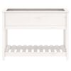 vidaXL Planter White Solid pine wood Large Planters Planter