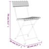 vidaXL Folding Bistro Chair Set of 2 Grey Poly Rattan, Powder-Coated Steel