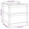 vidaXL Garden Planter White Solid pine wood 24x24x24 in Garden Planter