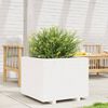vidaXL Garden Planter White Solid pine wood 23.6x23.6 in Durable