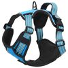 vidaXL Dog Harness Blue Polyester Small Adjustable Armrests