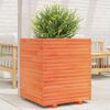 vidaXL Garden Planter Wax Brown Solid Pine Wood Medium Decorative Inlays