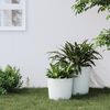 vidaXL Planter White Polypropylene Large Removable Covers Planter