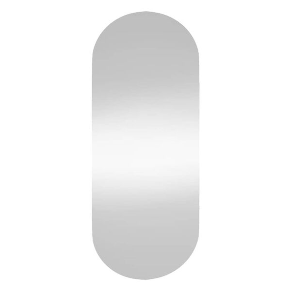 vidaXL Wall Mirror Transparent Glass 9.8x23.6 in Mirror Wall Mirror