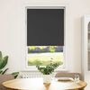 vidaXL Roller Blind Black Polyester 25.6x68.9 in Adjustable Armrests