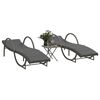 vidaXL Sun Lounger Set of 2 Grey PE rattan Adult-sized