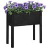 vidaXL Garden Planter Set of 2 Black Solid pinewood