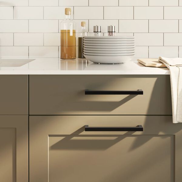 vidaXL Cabinet Handle Set of 10 Black 304 Stainless Steel