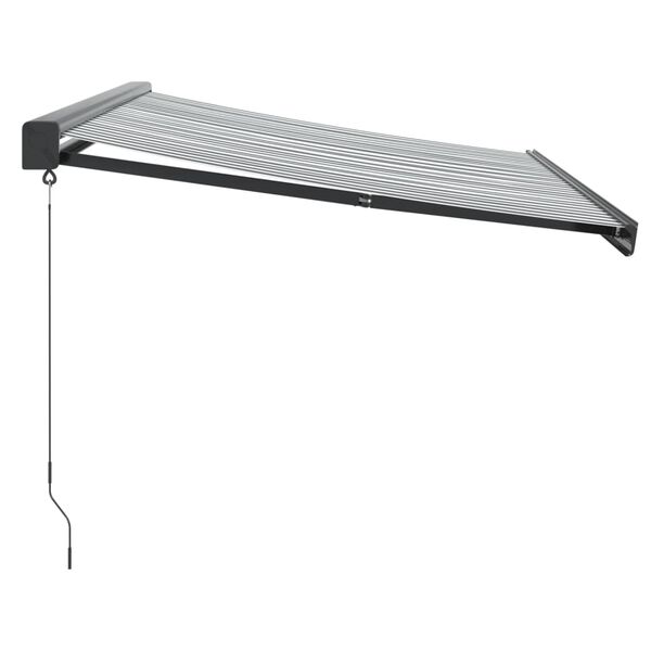 vidaXL Retractable Awning Anthracite and White