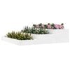 vidaXL Planter White Solid pine wood Medium Decorative Inlays Planter